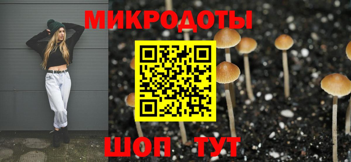 как найти   Вход с VPN  Псилоцибиновые грибы Cubensis  Гусь-Хрустальный  Псилоцибиновые грибы мицелий 